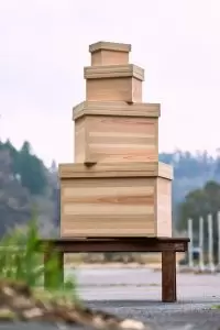 大阪关西博览会“Well-being & SDGs + Beyond”D区参展商介绍