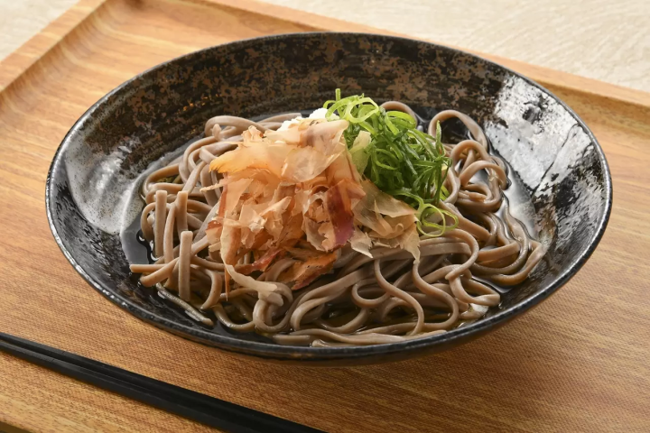 恐龙迷必看！胜山天然温泉“Mizubasho”的魅力，距恐龙博物馆 5 分钟路程