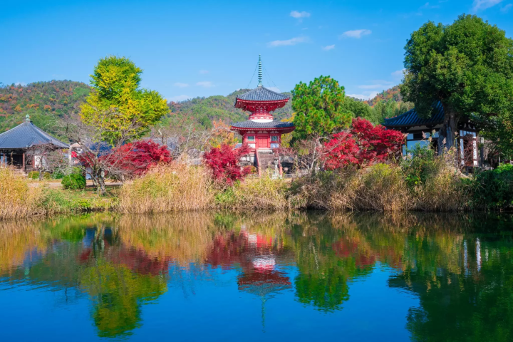 【京都】厭倦了人潮擁擠的熱門旅遊勝地嵐山，推薦您前往大覺寺