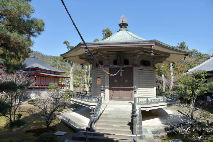 【京都】厭倦了人潮擁擠的熱門旅遊勝地嵐山，推薦您前往大覺寺