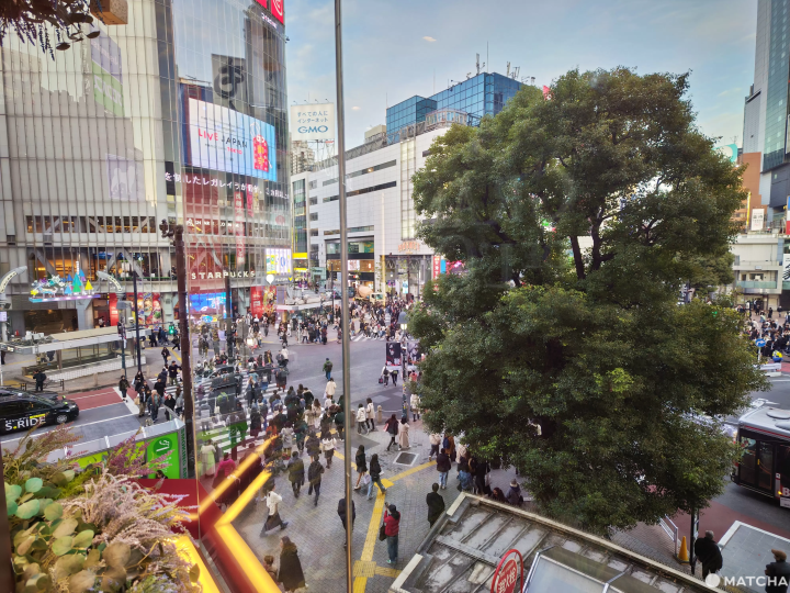 Shibuya Crossing view from L'Occitane Cafe Shibuya