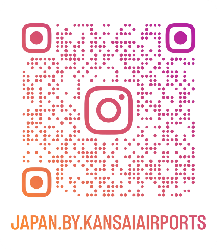 Don’t Travel to Japan Before Reading This!