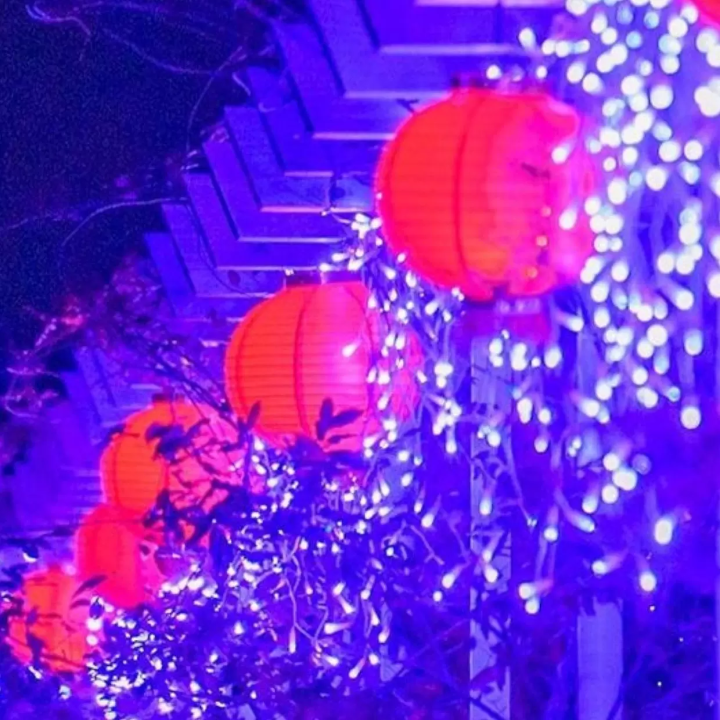 Taiwan Lantern Festival SENDAI 2025