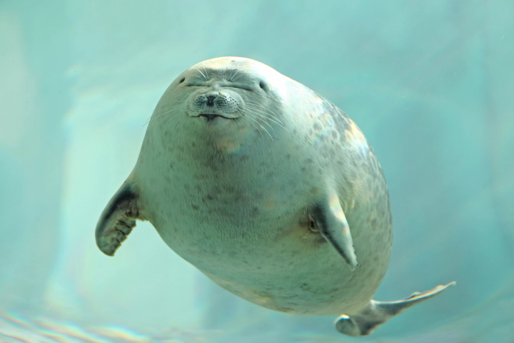 20 Best Places to Visit in Osaka – A Complete Travel Guide