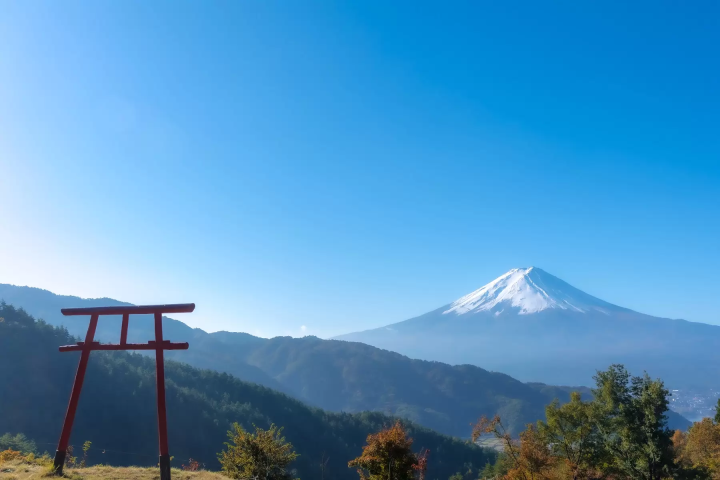 [Kanto area] Let's go see the autumn kochia! 4 popular spots we definitely recommend🍁