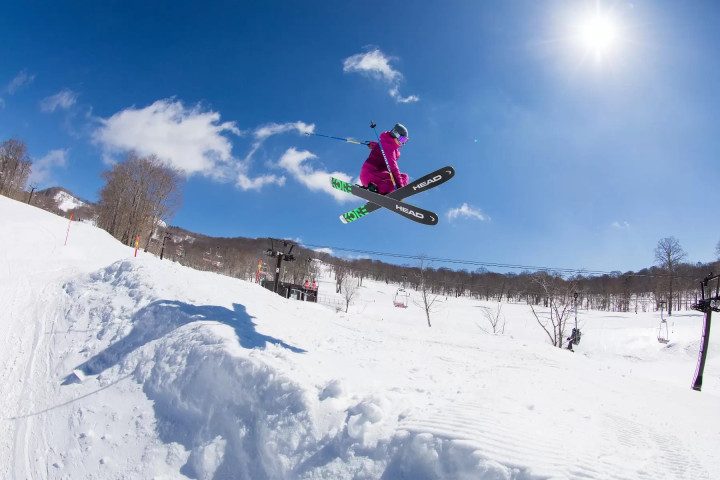 [Kanto area] Let's go see the autumn kochia! 4 popular spots we definitely recommend🍁