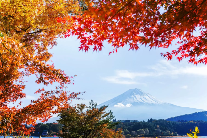 【関東紅葉】秋の行楽シーズン到来！関東近郊で巡る秋の絶景スポット
