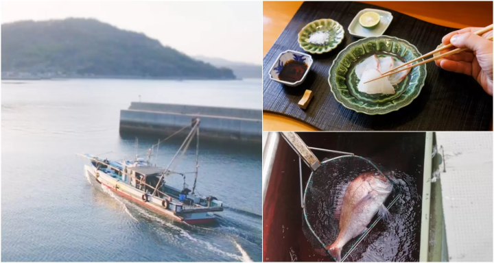 Fishing experience in Japan