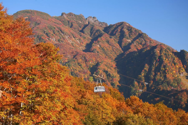 [Kanto Autumn Foliage] Autumn travel season has arrived! Stunning autumn spots to visit around the Kanto region