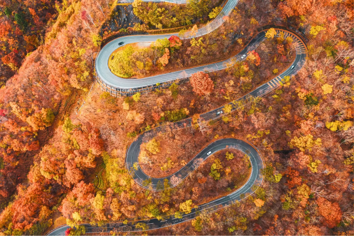 Autumn foliage at Irohazaka<br>