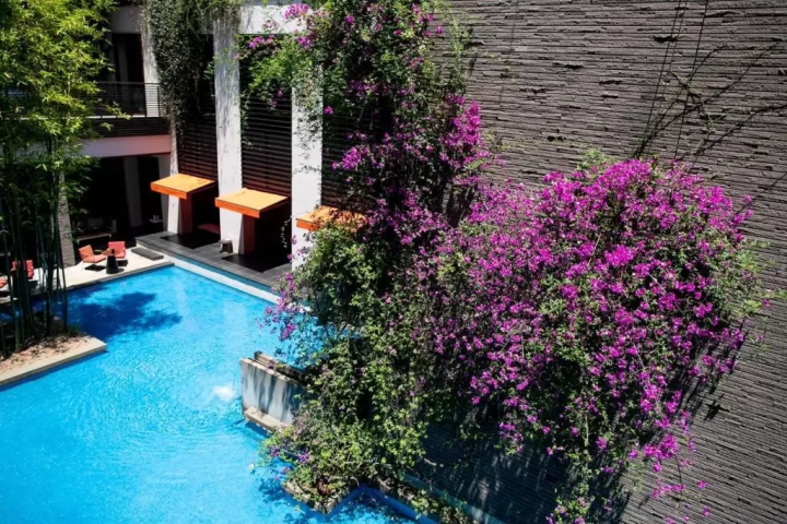 ウィズ ザ スタイルフクオカ