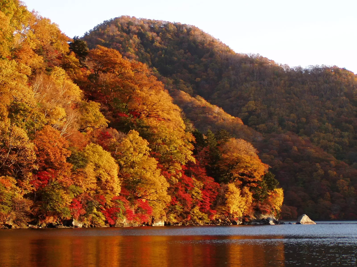 Lake Chuzenji-Nikko tourism official web<br>