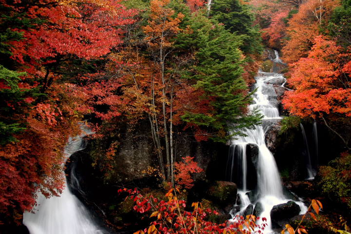 Ryuzu Falls (Autumn Foliage) - Nikko Tourism Official Website<br>