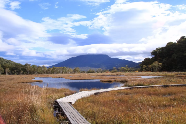 [Kanto Autumn Foliage] Autumn travel season has arrived! Stunning autumn spots to visit around the Kanto region