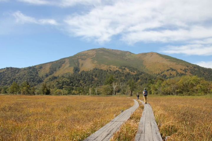 [Kanto Autumn Foliage] Autumn travel season has arrived! Stunning autumn spots to visit around the Kanto region