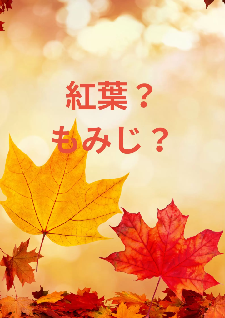 [Kanto Autumn Foliage] Autumn travel season has arrived! Stunning autumn spots to visit around the Kanto region