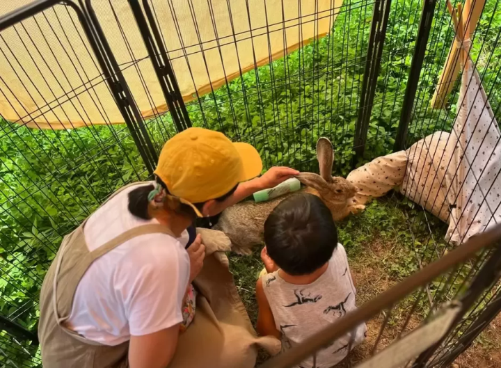 Full of first-time adventures! Introducing activities for kids by age group to enjoy in Niseko in the summer