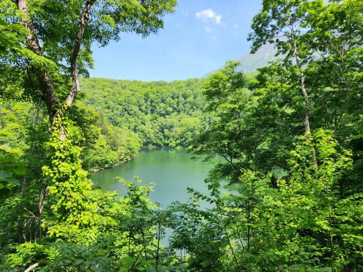 Full of first-time adventures! Introducing activities for kids by age group to enjoy in Niseko in the summer