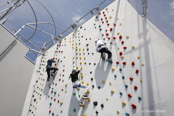 绝景三兄弟是什么？如何使用以及使用时需要注意什么？