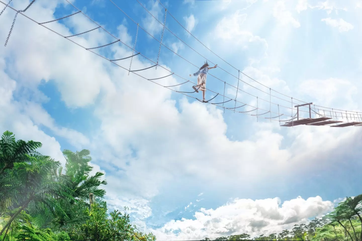 Junglia Okinawa Sky Trekking