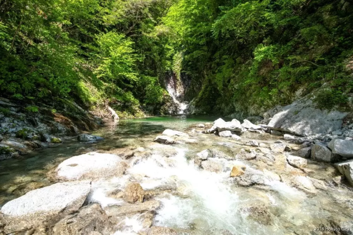 社交媒体热门话题！山梨县北杜“透明”甜点“山梨信玄饼”的秘密