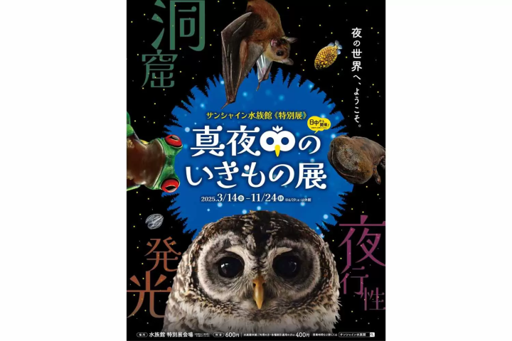 サンシャイン水族館 特別展「真夜中のいきもの展