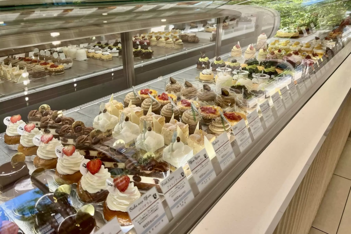 Toyosu Beer Garden Guide | Summer Gourmet & Must-Try Sweets