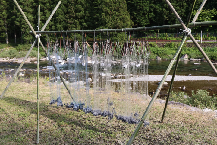 Experience Autumn Tradition at Gero Onsen｜Hiburi Fishing