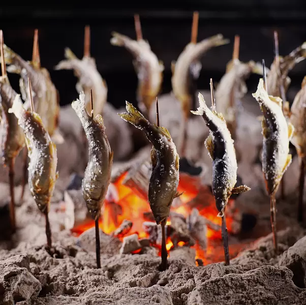 Experience Autumn Tradition at Gero Onsen｜Hiburi Fishing