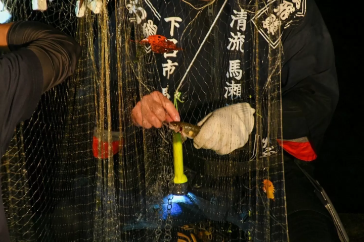 Experience Autumn Tradition at Gero Onsen｜Hiburi Fishing