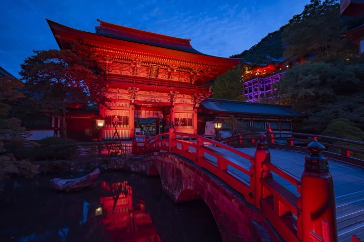 A fantastical overnight experience. A nighttime cultural bus tour of Saga featuring a sake brewery, an underwater torii gate, and a fox wedding