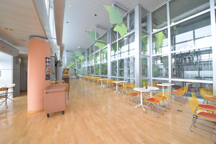 栃木縣親子遊新景點 「日光霧降VIVA！夏威夷」溫泉、泳池、美食一次享受