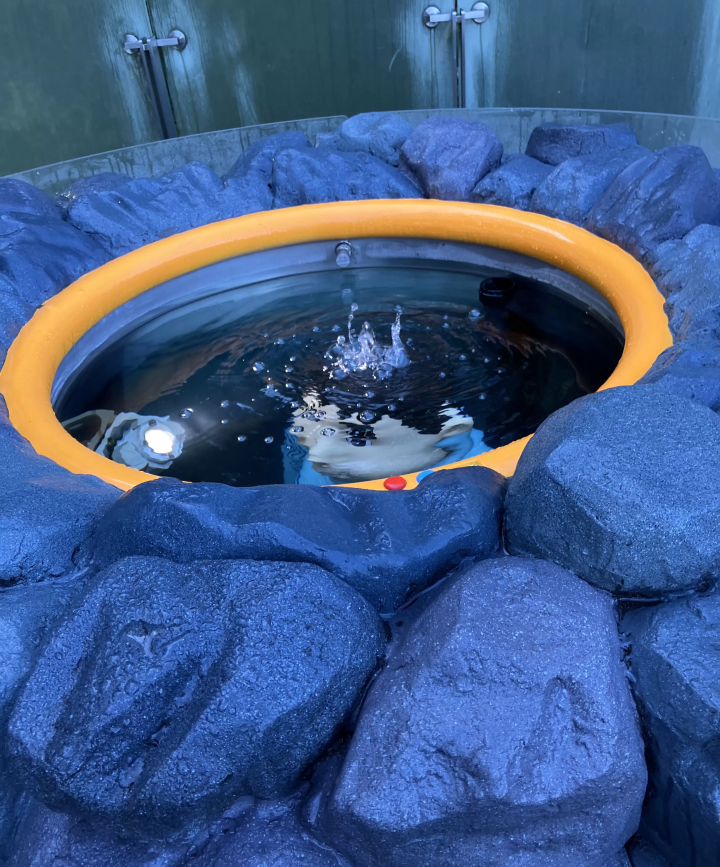 Let's go to Kawasaki to meet Doraemon and his friends! Kawasaki City Fujiko F. Fujio Museum