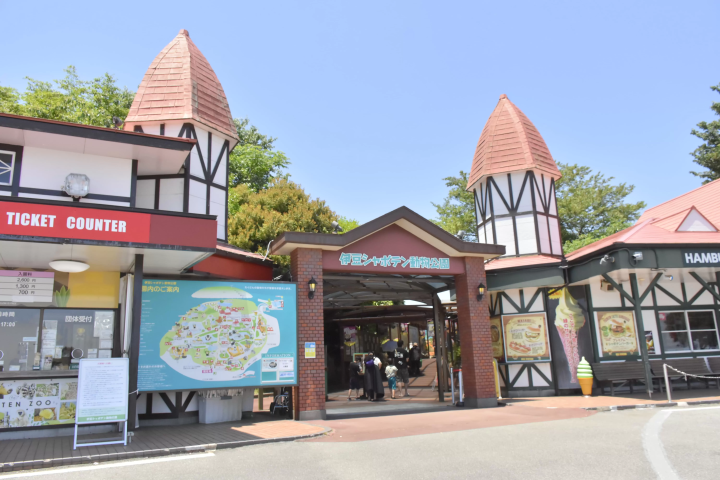 Get up close and personal with animals! A comprehensive guide to Izu Shaboten Zoo