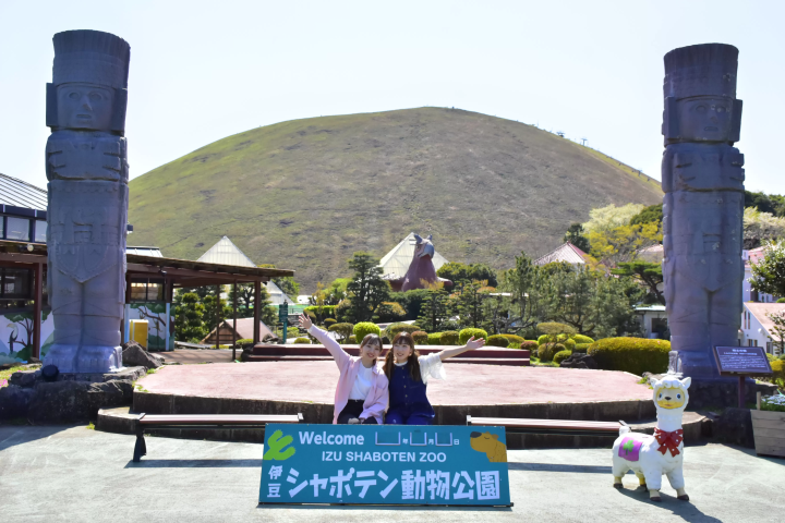 Get up close and personal with animals! A comprehensive guide to Izu Shaboten Zoo