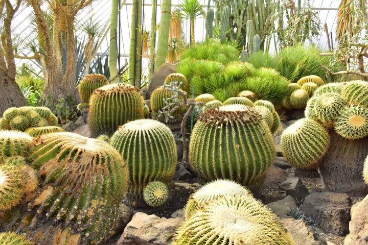 Get up close and personal with animals! A comprehensive guide to Izu Shaboten Zoo