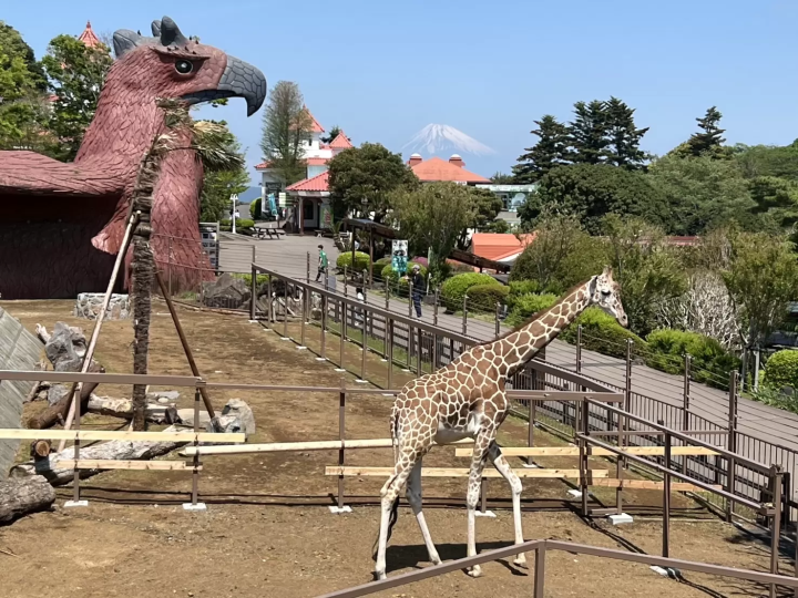 Get up close and personal with animals! A comprehensive guide to Izu Shaboten Zoo