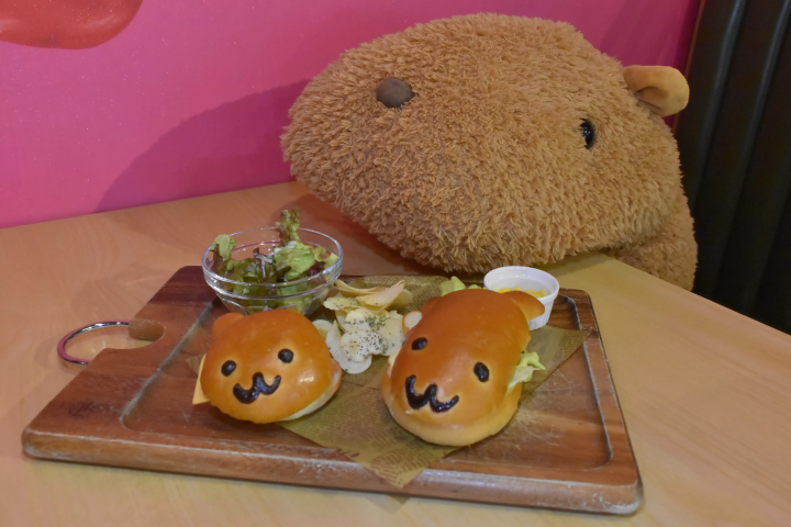 Get up close and personal with animals! A comprehensive guide to Izu Shaboten Zoo