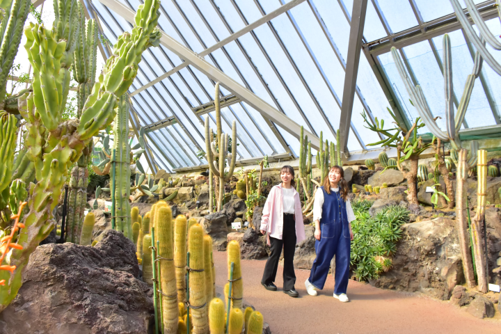 Get up close and personal with animals! A comprehensive guide to Izu Shaboten Zoo