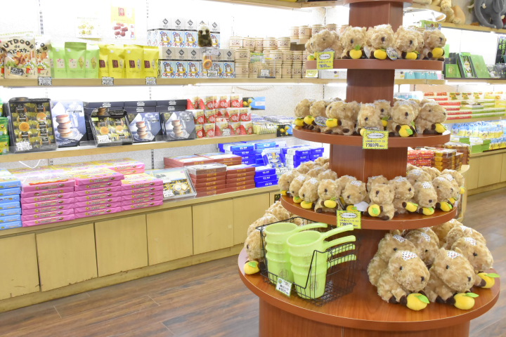 Get up close and personal with animals! A comprehensive guide to Izu Shaboten Zoo