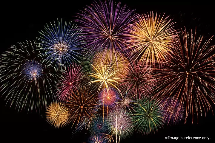 Enjoy Japan's fireworks festivals in comfort! Have a special summer experience in the paid viewing seats.