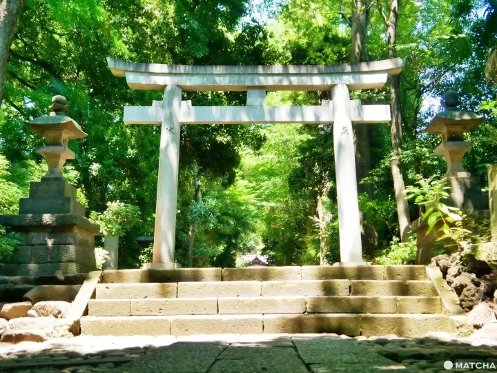 Places Featured in "5 Centimeters per Second": Tokyo, Tochigi, and More