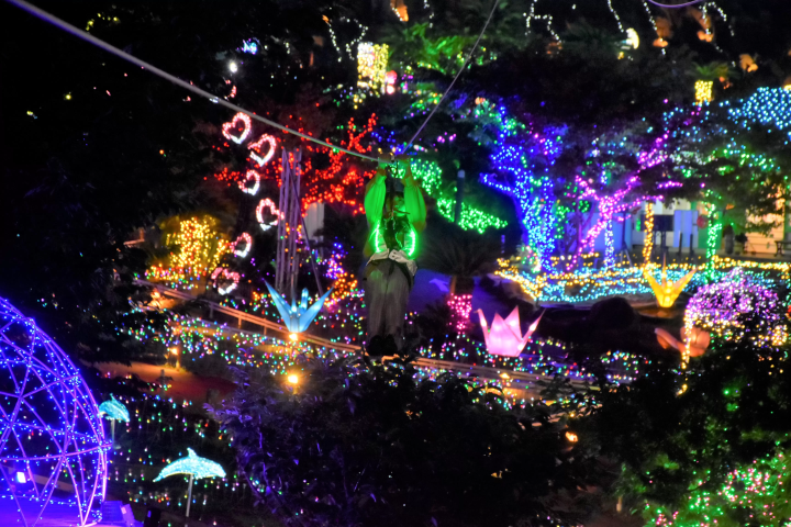 【2025最新】東京近郊！伊豆ぐらんぱる公園のイルミネーションを徹底解説