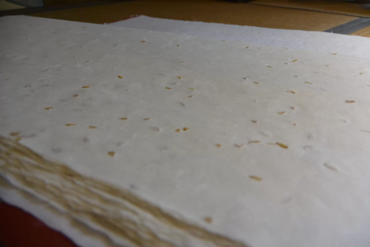 [Day trip from Kanazawa] Experience World Heritage Sites and craftsmanship. How to walk around Gokayama and Inami.