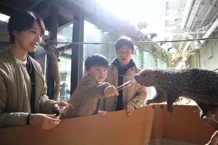 Photo courtesy of Kawasui Kawasaki Aquarium 