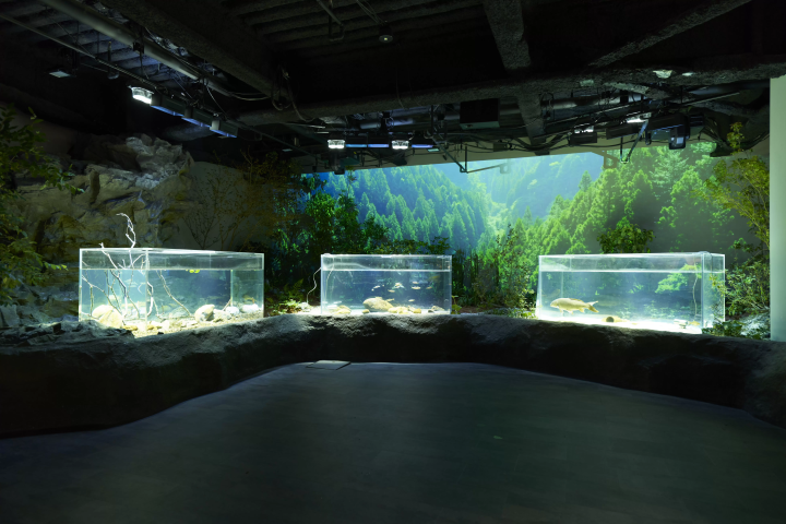 Photo courtesy of Kawasui Kawasaki Aquarium 