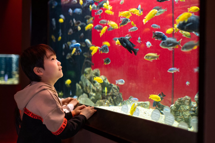Photo courtesy of Kawasui Kawasaki Aquarium 