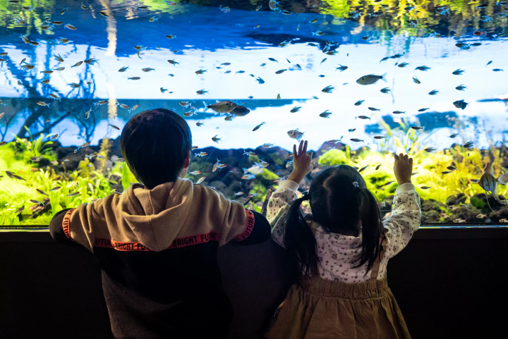 Discover an urban entertainment aquarium right in front of Kawasaki Station!