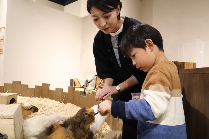 Photo courtesy of Kawasui Kawasaki Aquarium 