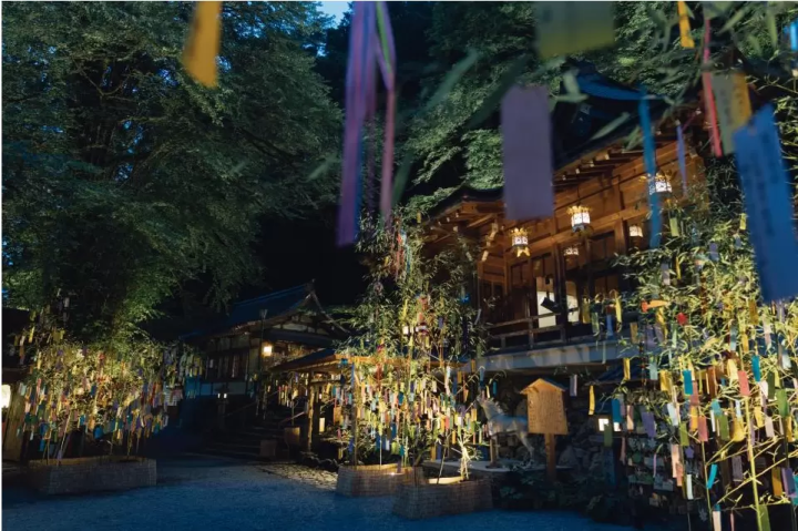 [Held until August 15th] Highlights of the Tanabata illuminations at Kifune Shrine